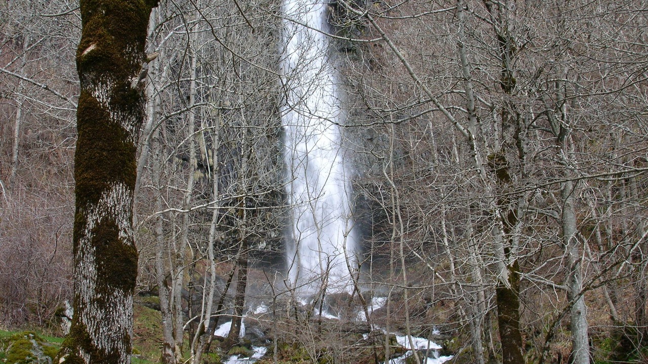 Photo of Others in Vic-sur-Cere