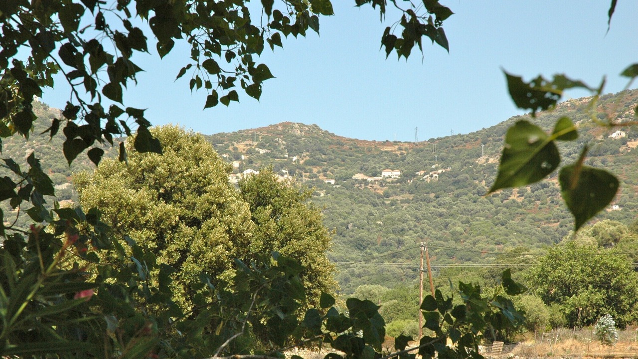 Photo of Outdoor in Algajola