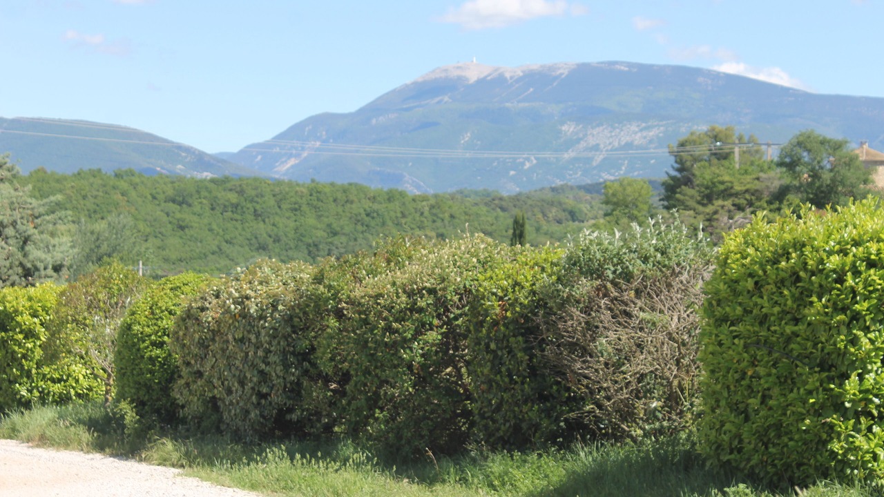 Photo of Outdoor in Puymeras
