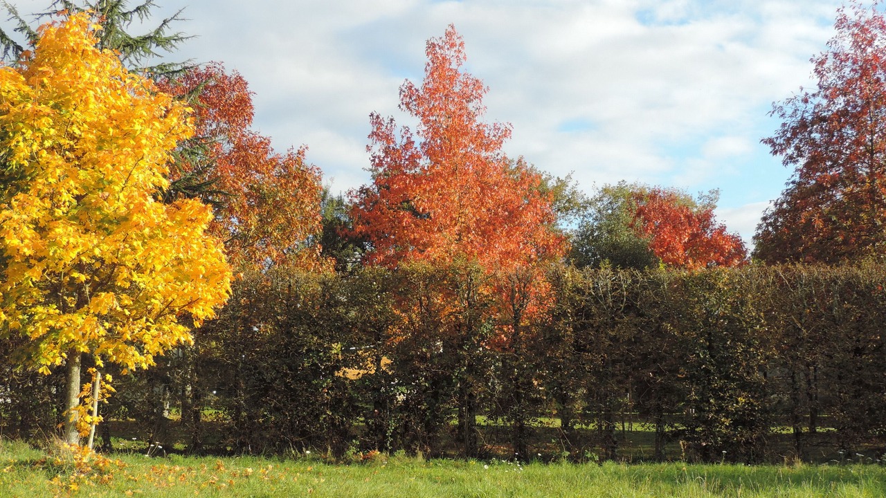Photo of Outdoor in Bourneau