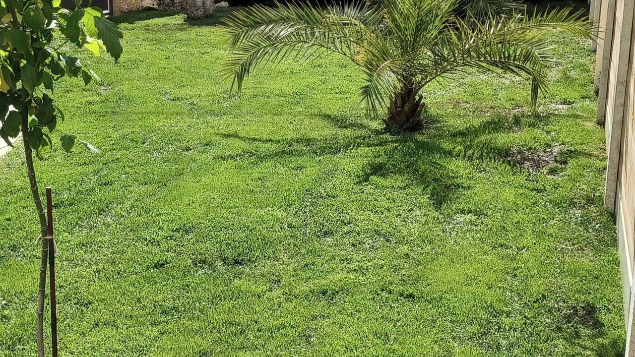 Photo of Outdoor in Soulac-sur-Mer