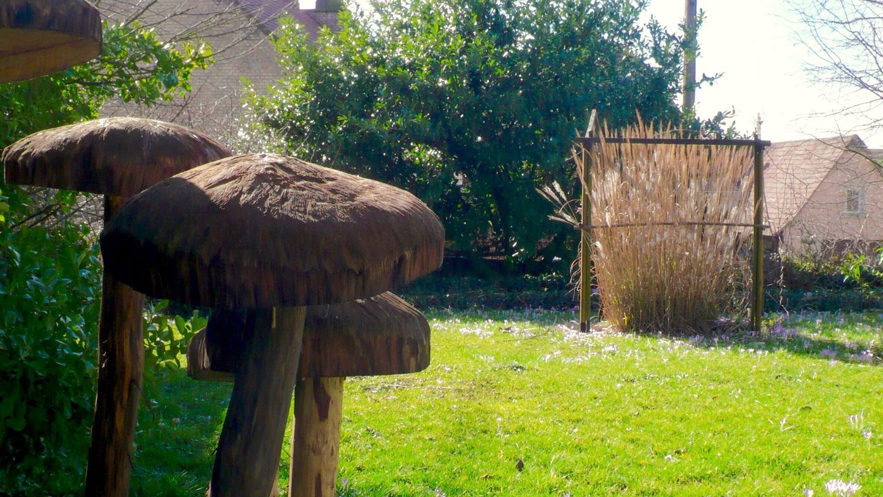 Photo of Outdoor in Mietesheim