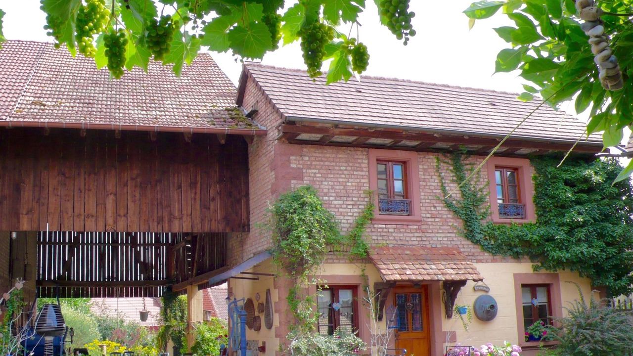 Photo of Outdoor in Mietesheim