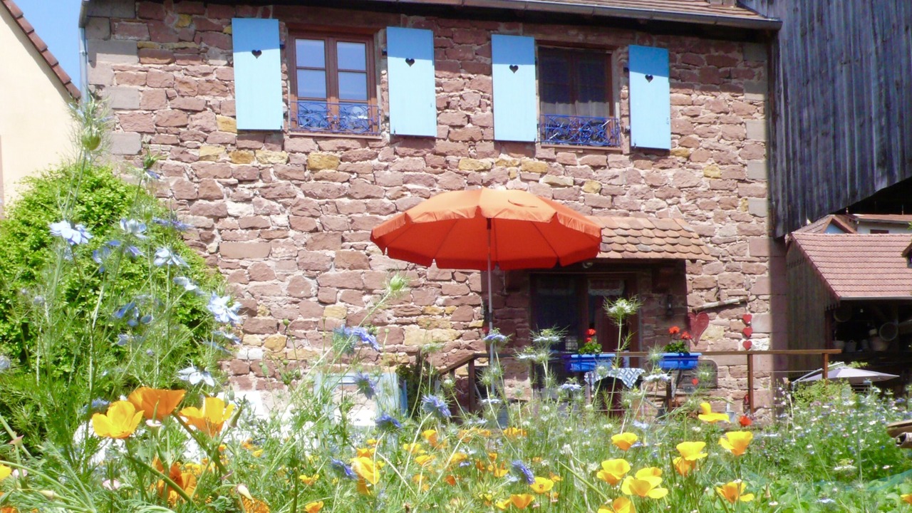 Photo of Outdoor in Mietesheim