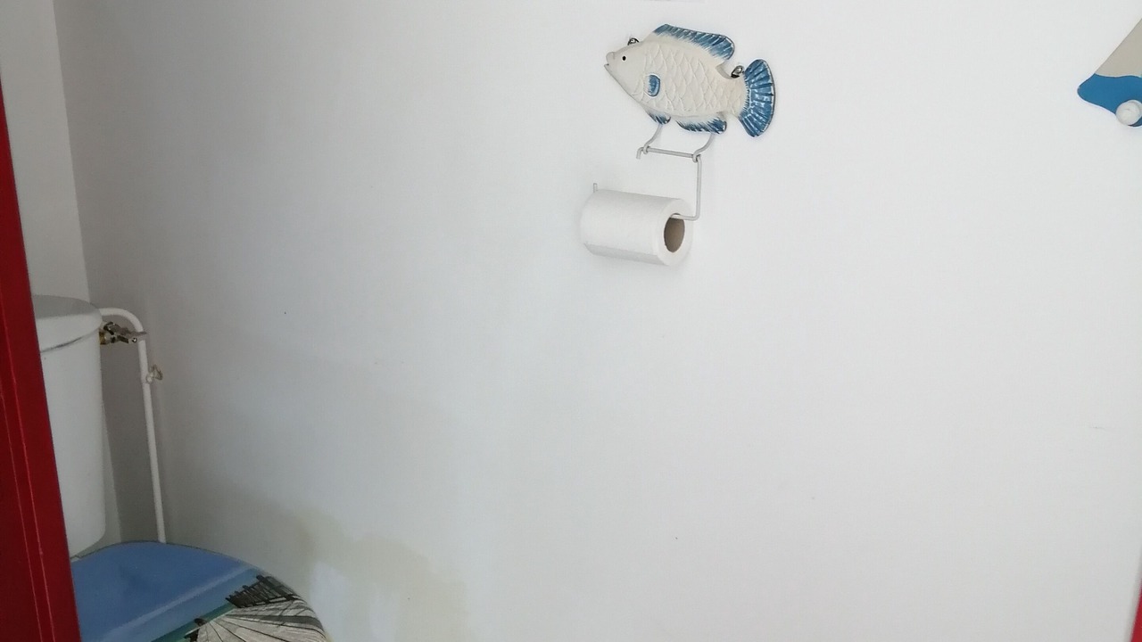Photo of Bathroom in La Turballe