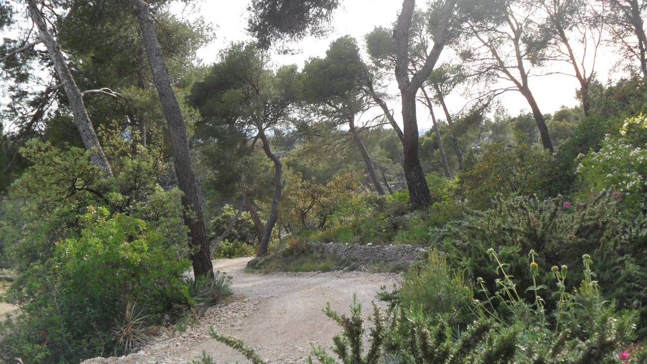 Photo of Outdoor in Cavaillon