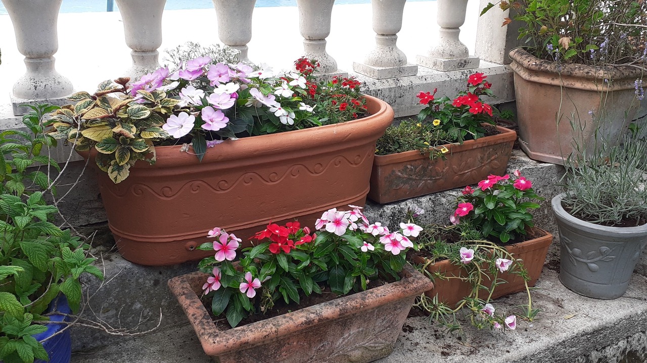 Photo of Outdoor in Saintes Agglomeration