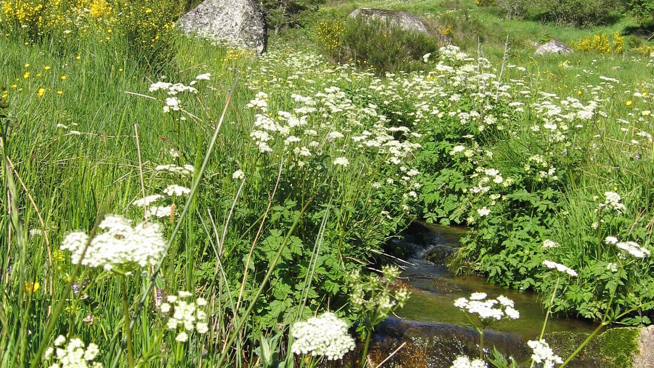 Photo of Outdoor in Saint-Alban-sur-Limagnole