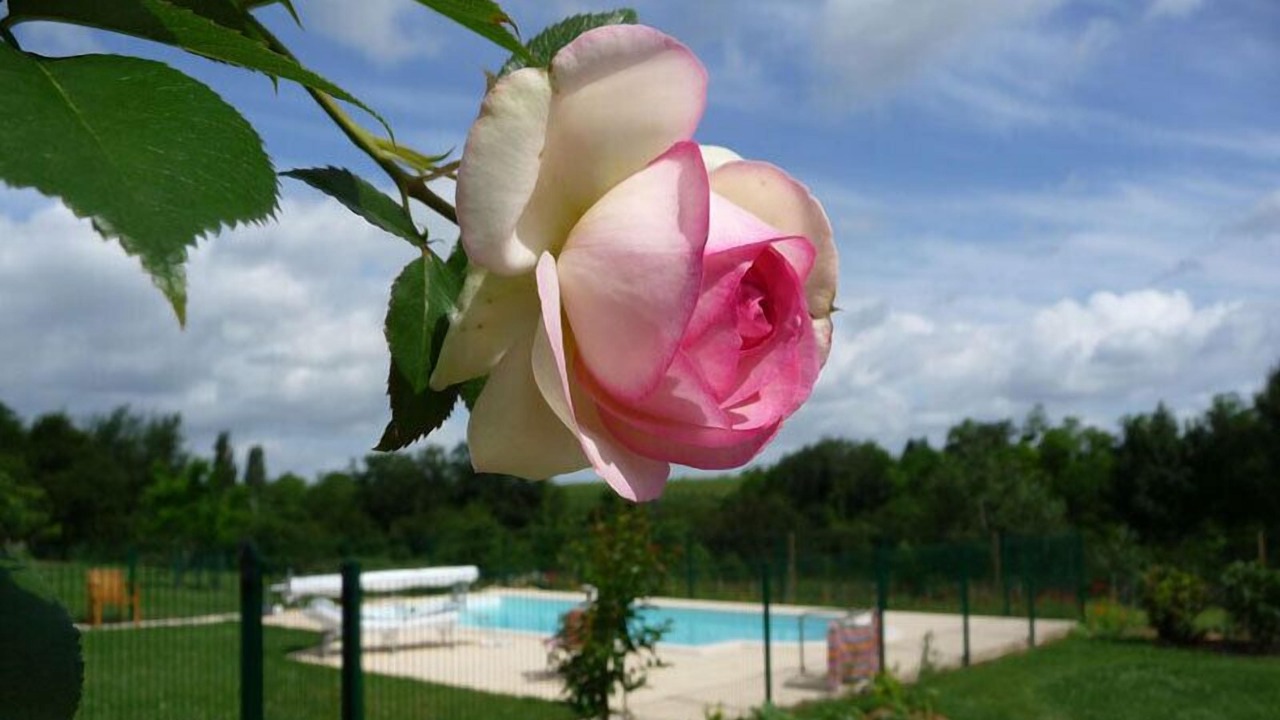 Photo of Outdoor in Ruch