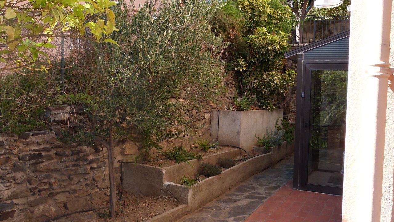 Photo of Outdoor in Collioure