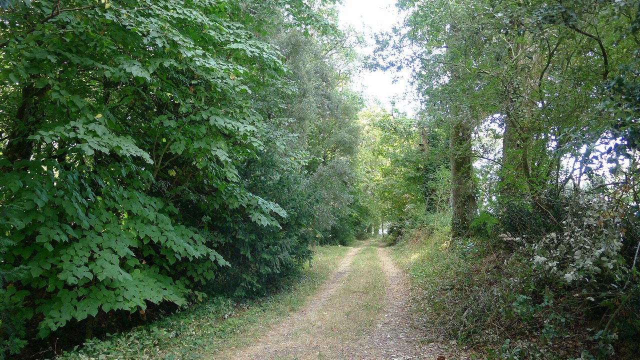 Photo of Outdoor in Le Tablier