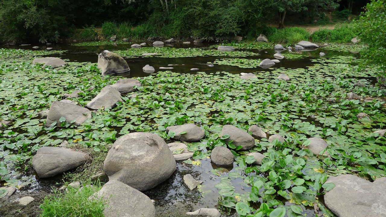Photo of Outdoor in Le Tablier