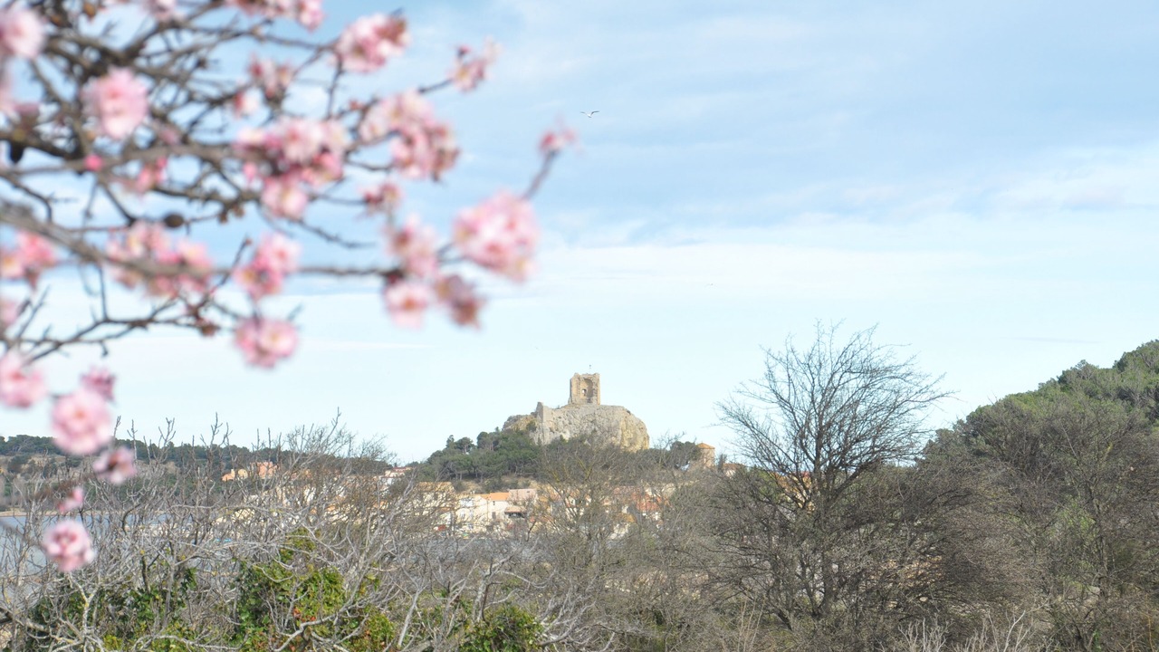 Photo of Outdoor in Ilot 11