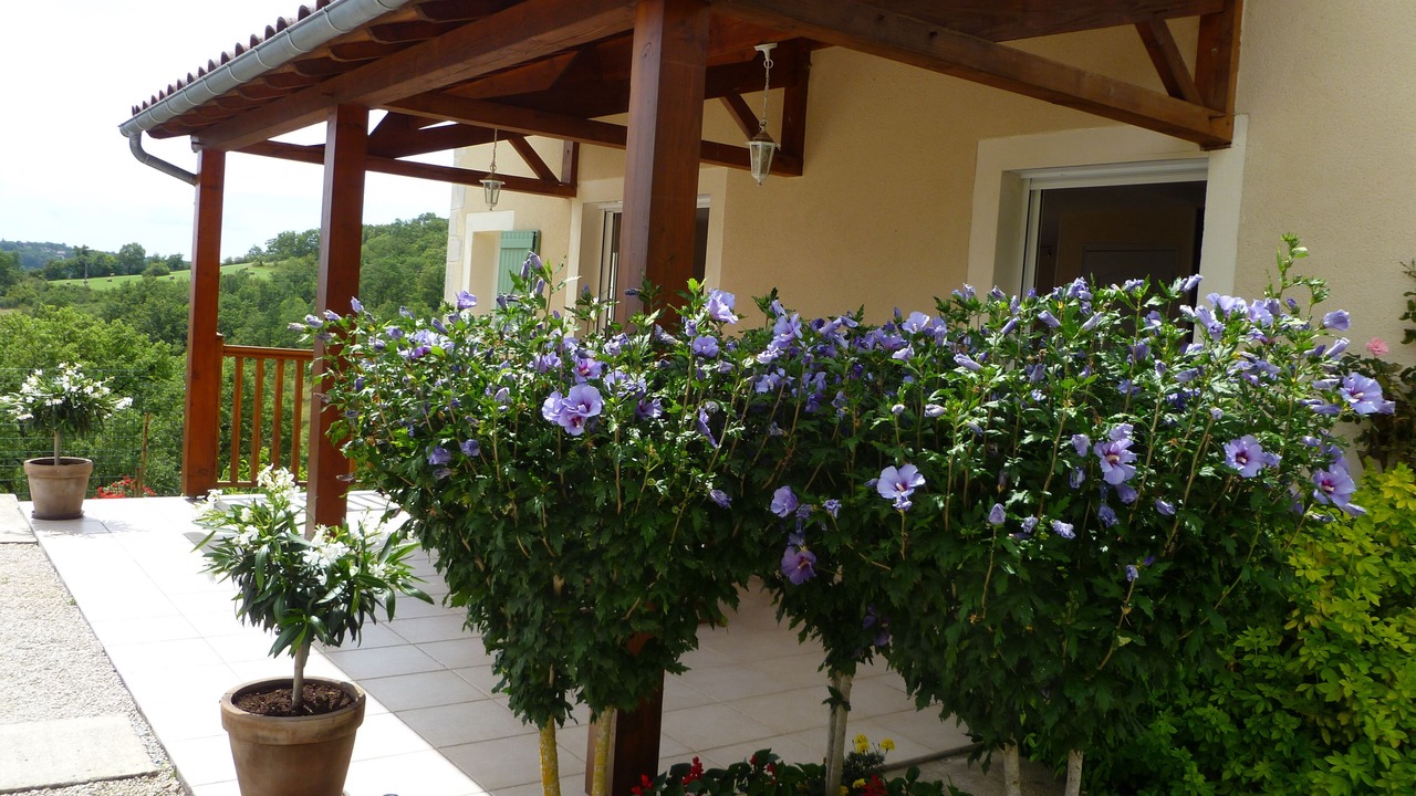 Photo of Outdoor in Faycelles