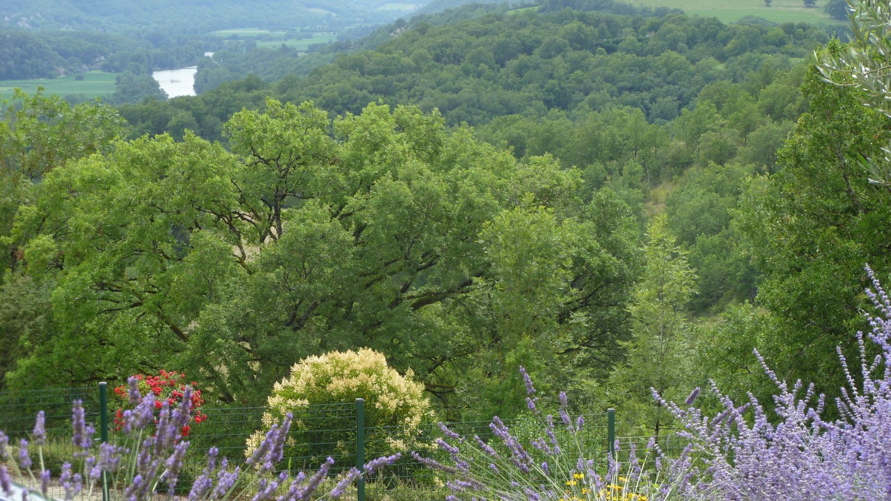 Photo of Outdoor in Faycelles
