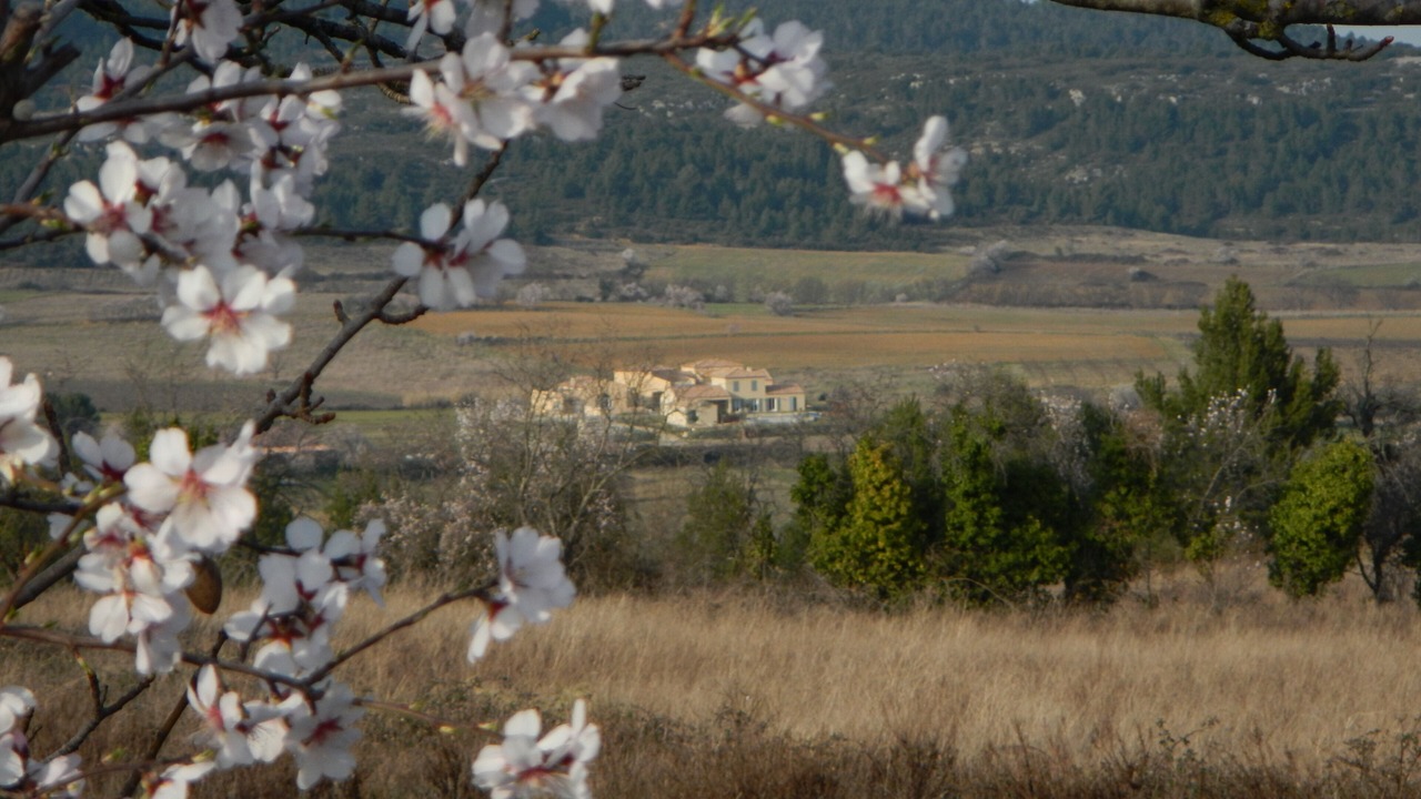 Photo of Outdoor in Tournissan