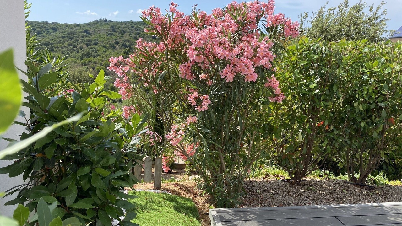 Photo of Outdoor in Porticcio
