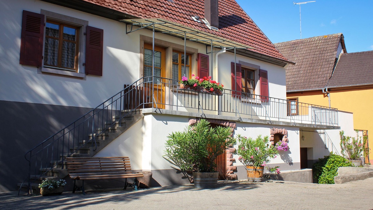 Photo of Outdoor in Eguisheim