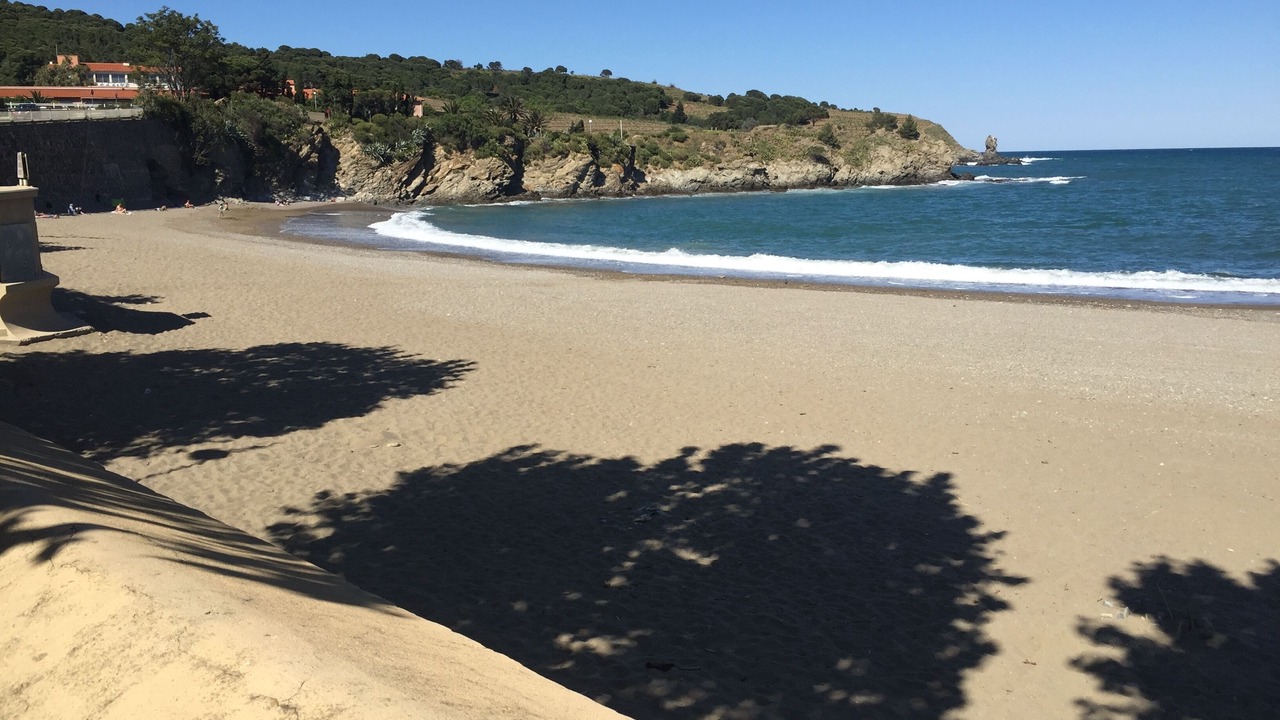 Photo of Others in Banyuls-sur-Mer