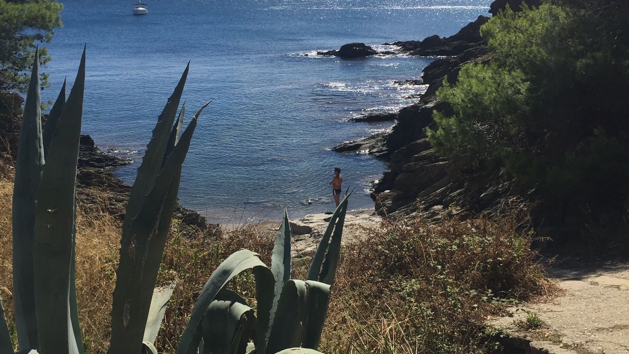 Photo of Others in Banyuls-sur-Mer