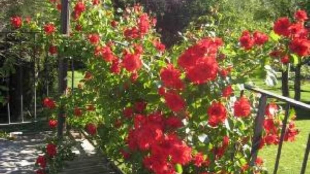 Photo of Outdoor in Vauvenargues