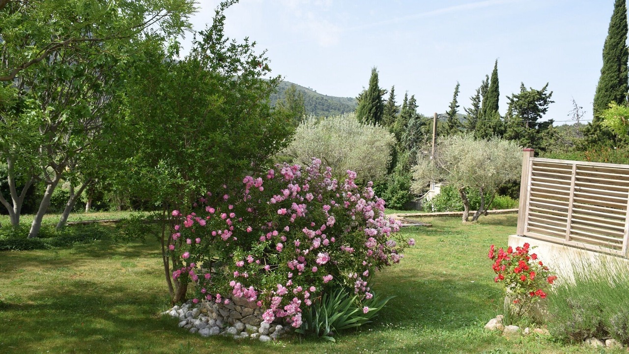 Photo of Outdoor in Vauvenargues