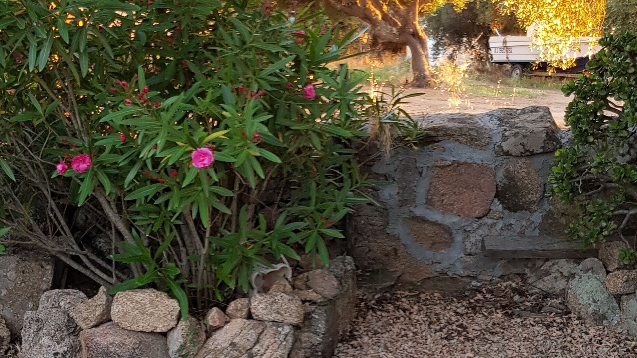 Photo of Outdoor in Sartene