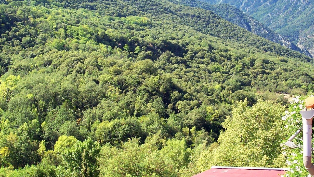 Photo of Others in Estoher