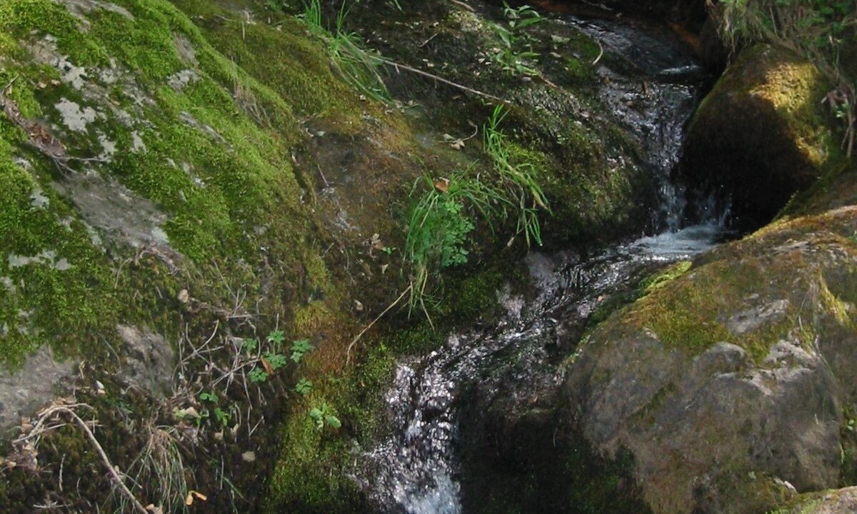 Photo of Outdoor in Saint-Jean-Chambre