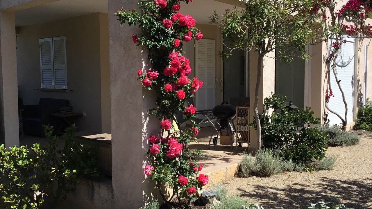 Photo of Patio Balcony in Marine de Davia