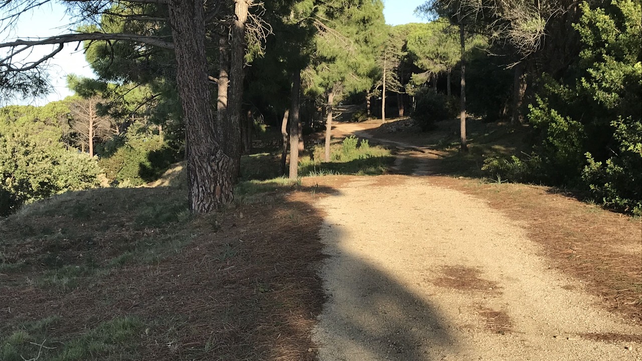 Photo of Outdoor in Marine de Davia