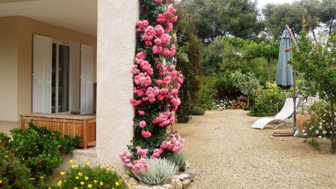Photo of Outdoor in Marine de Davia
