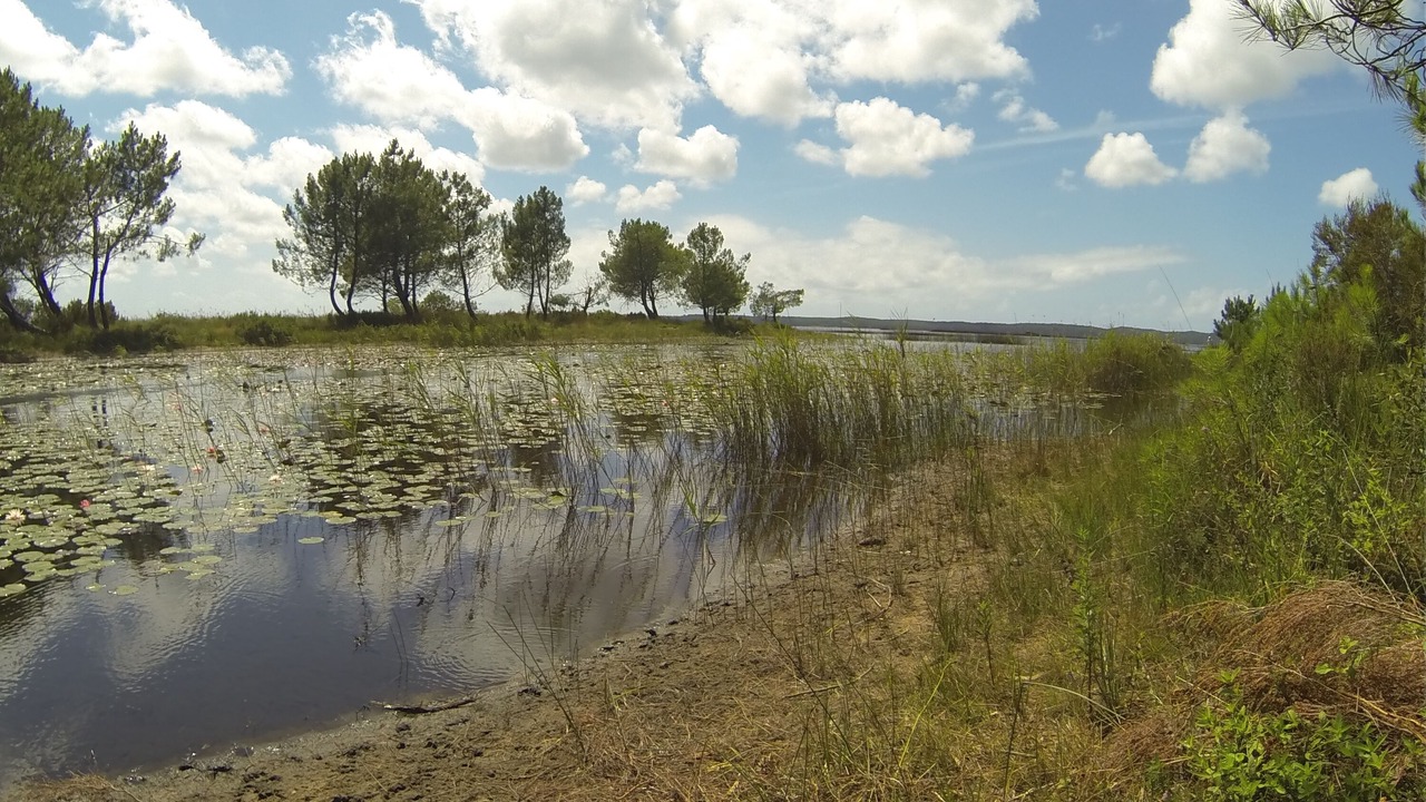 Photo of Outdoor in Hourtin Port