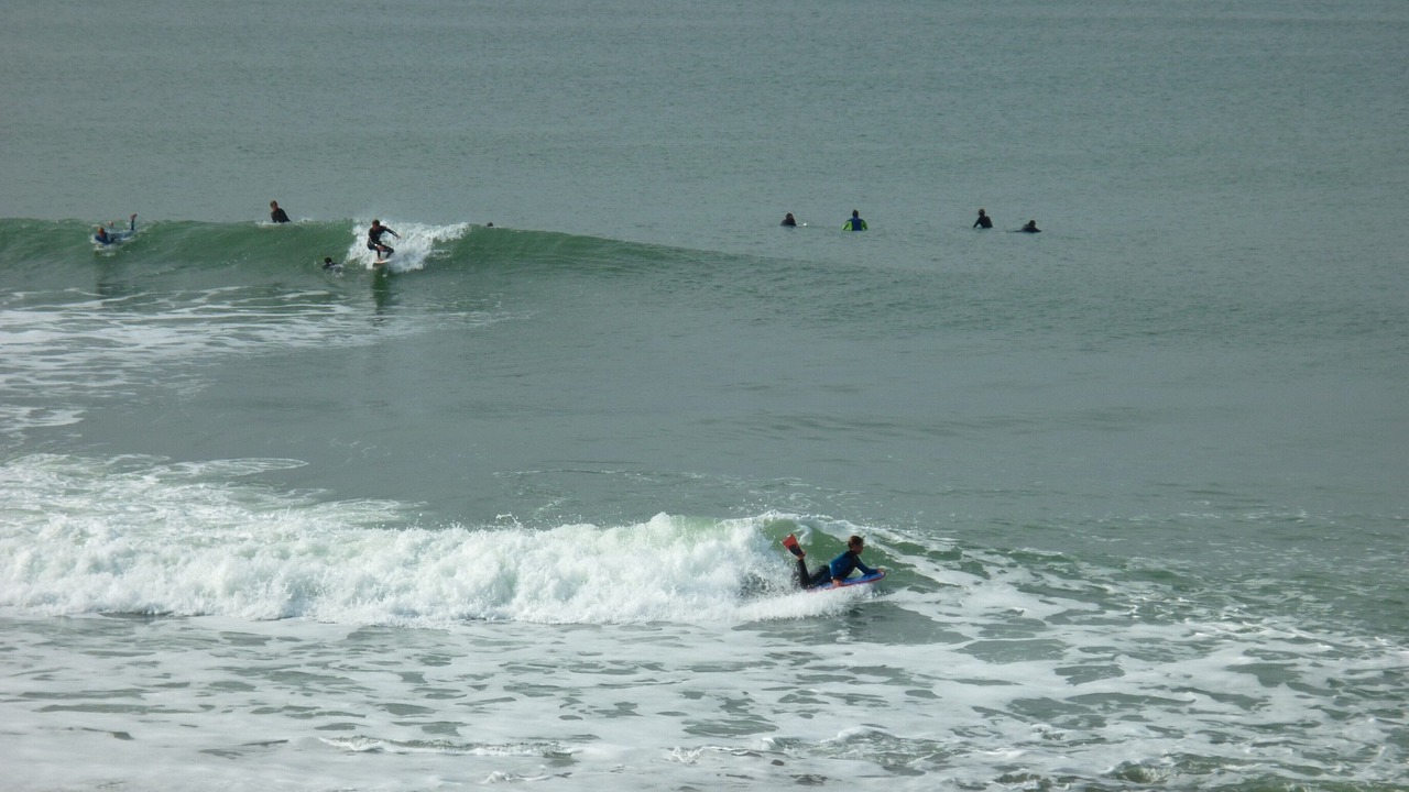 Photo of Others in Bretignolles-sur-Mer