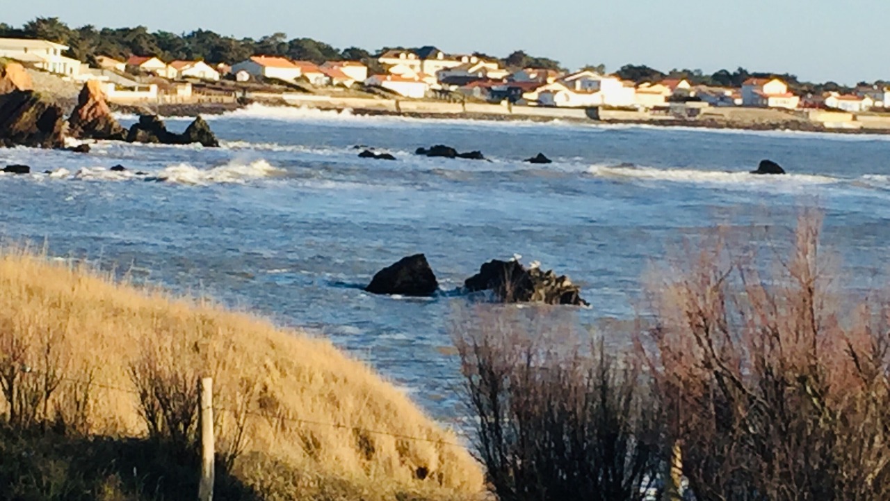Photo of Others in Bretignolles-sur-Mer