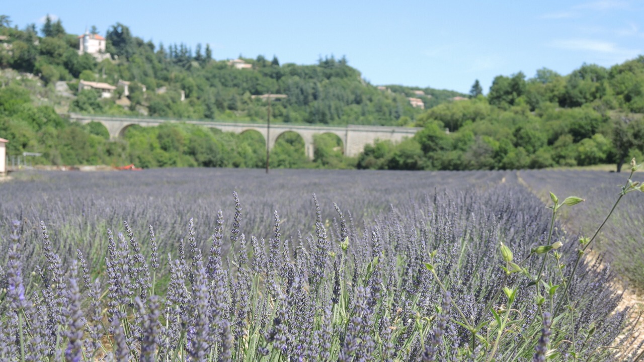 Photo of Outdoor in Monieux