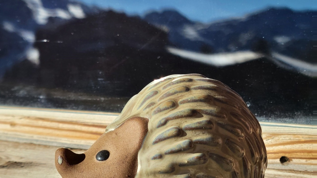 Photo of Others in Avoriaz