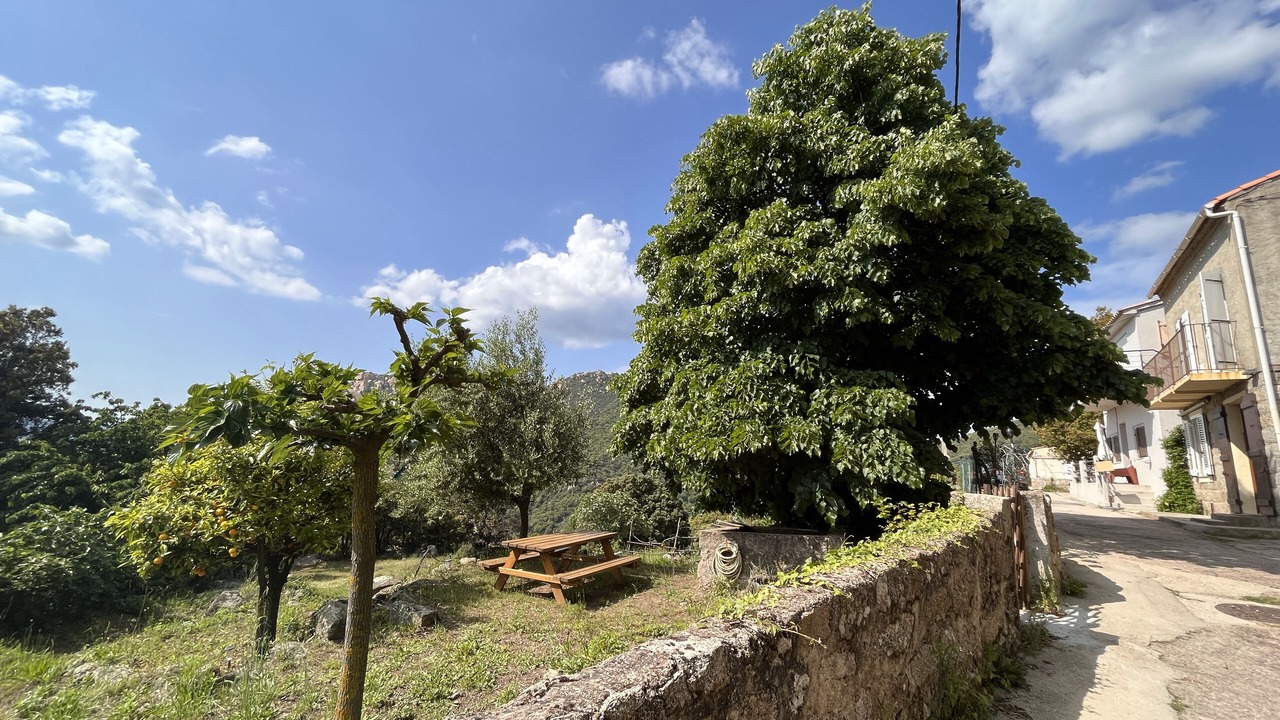 Photo of Outdoor in Monacia-d'Aullene