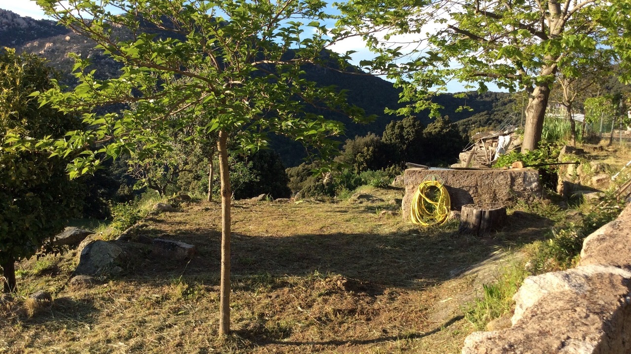 Photo of Outdoor in Monacia-d'Aullene
