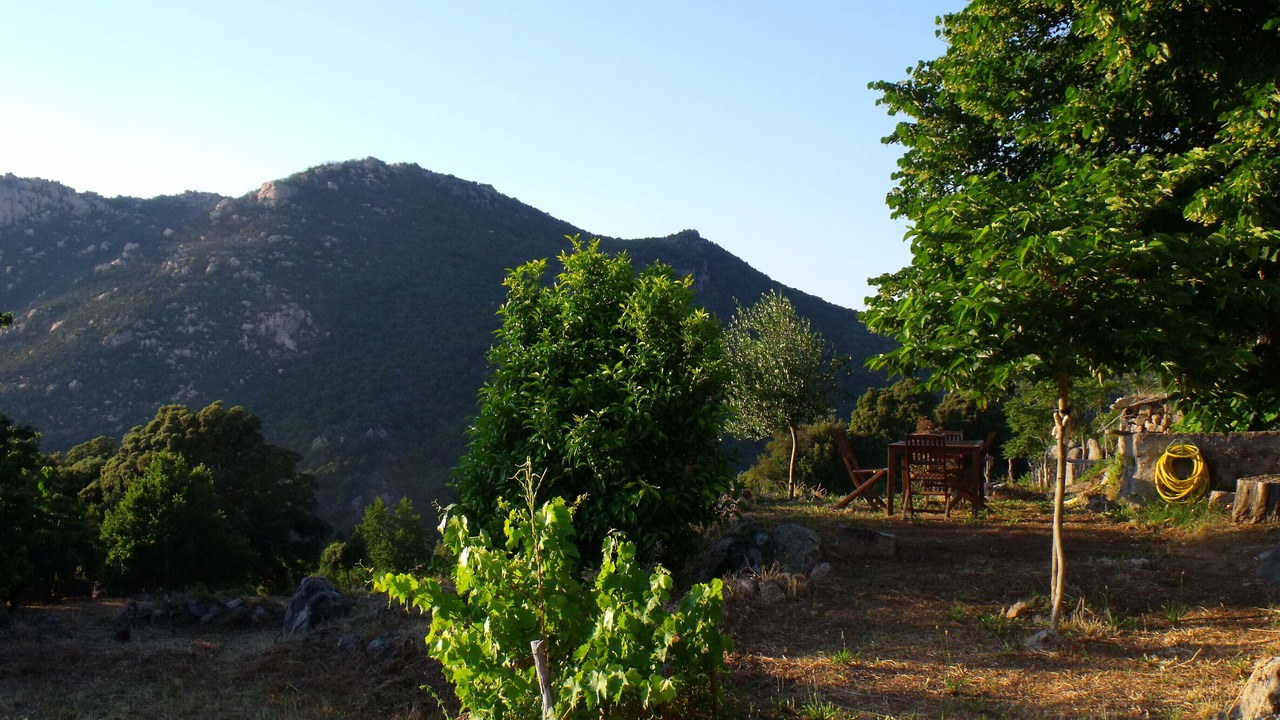 Photo of Outdoor in Monacia-d'Aullene