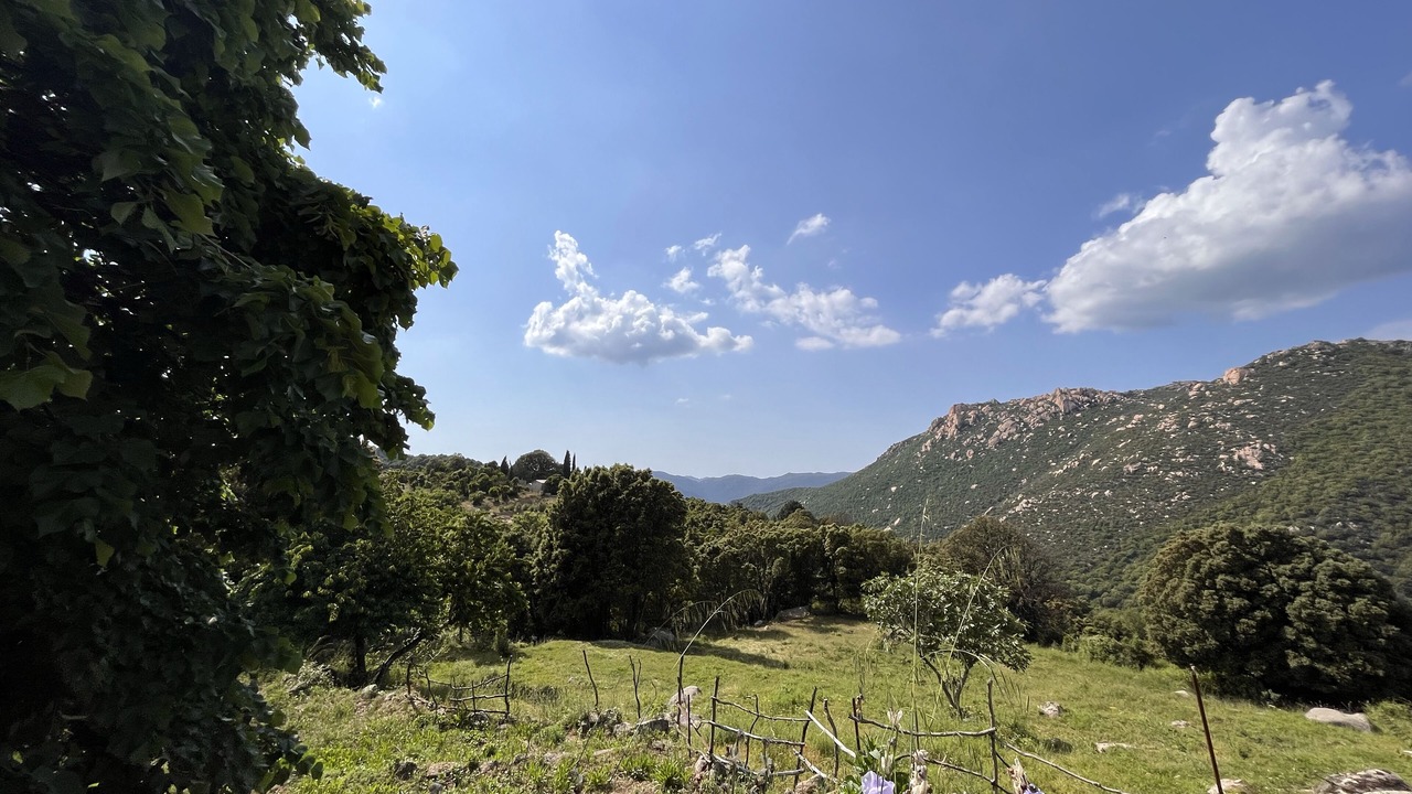 Photo of Outdoor in Monacia-d'Aullene