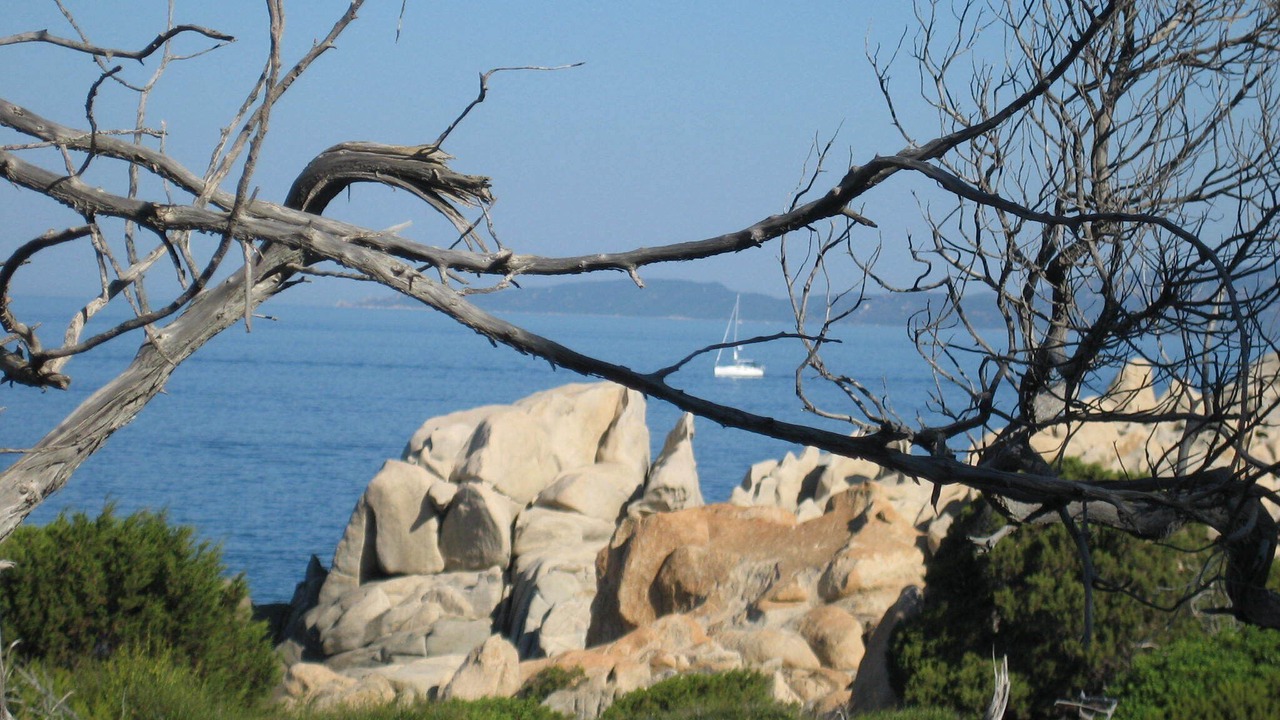 Photo of Outdoor in Belvedere-Campomoro