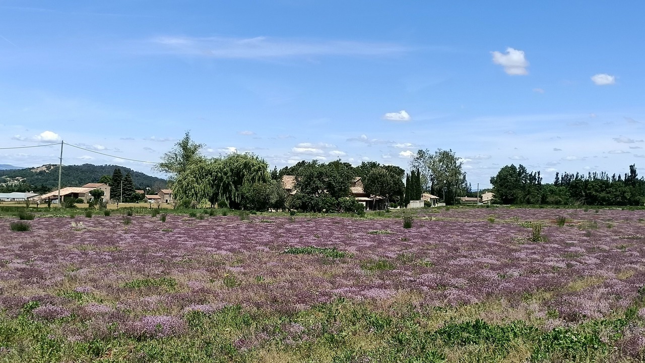 Photo of Outdoor in Upie