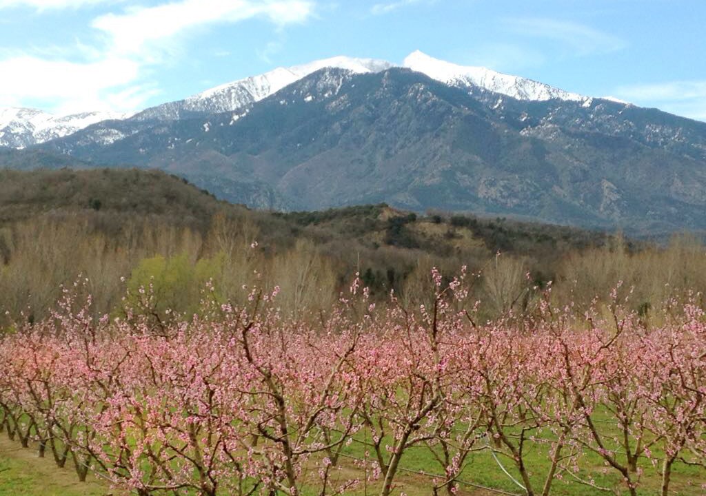 Photo of Outdoor in Marquixanes