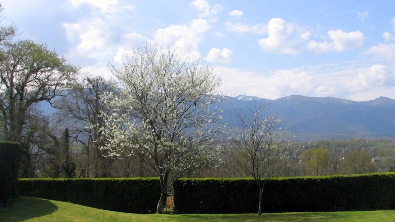 Photo of Outdoor in Ogeu-Les-Bains