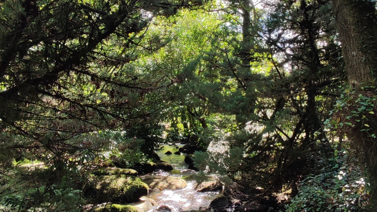 Photo of Outdoor in Lignol