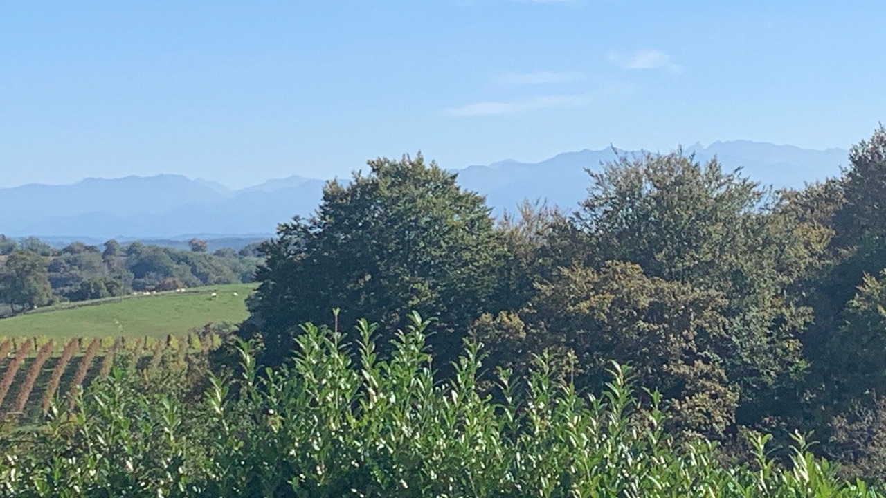 Photo of Outdoor in Lucq-de-Bearn