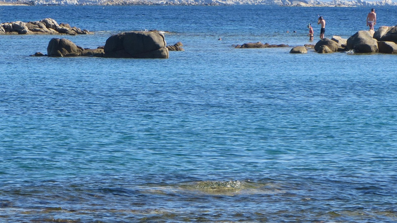 Photo of Others in Bonifacio