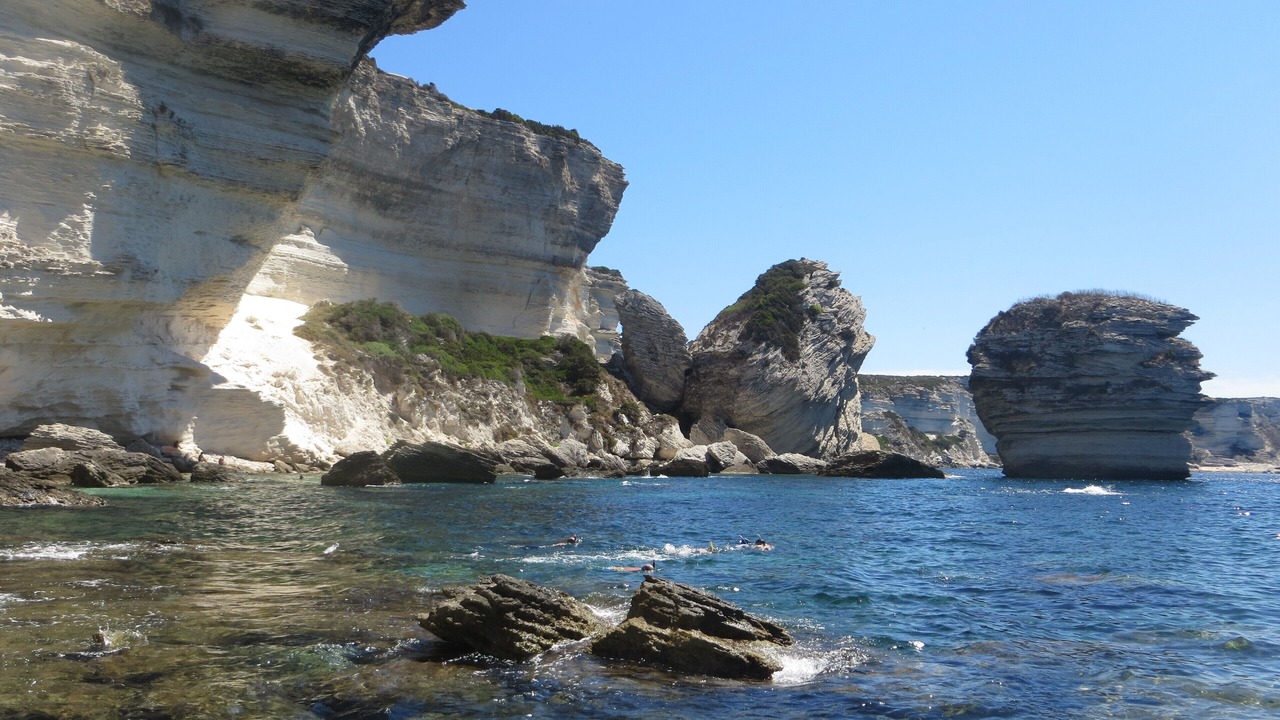 Photo of Others in Bonifacio
