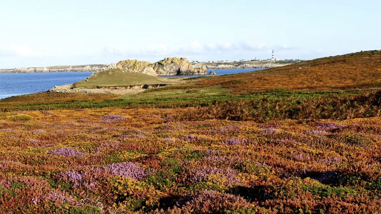 Photo of Outdoor in Ushant